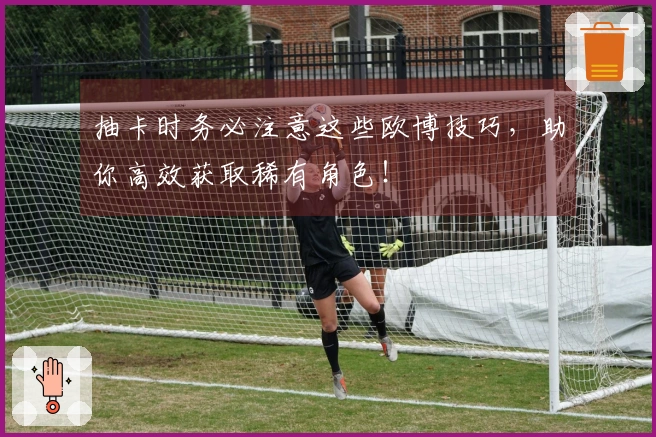 抽卡时务必注意这些欧博技巧，助你高效获取稀有角色！
