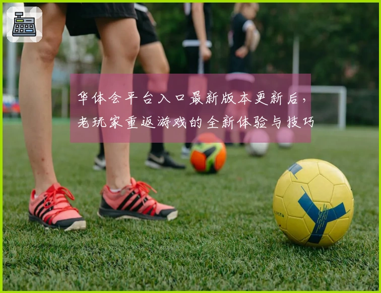 华体会平台入口最新版本更新后，老玩家重返游戏的全新体验与技巧分享