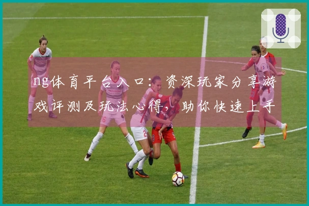 ng体育平台入口：资深玩家分享游戏评测及玩法心得，助你快速上手
